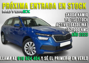 Skoda Kamiq 1.0 TSI 110cv Active 5p. 2023