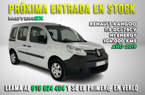 Renault Kangoo 1.5 DCI 75cv Professional Energy N1 2019